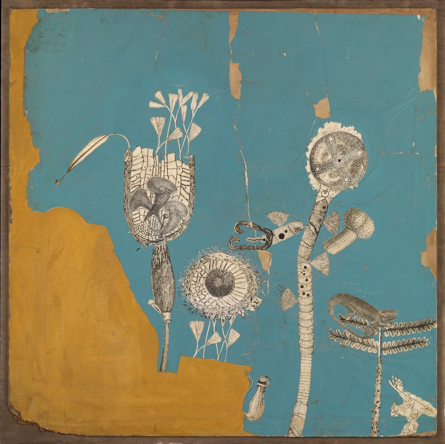 Collage for ‘Patio and Pavilion’ (the growth of plant forms)