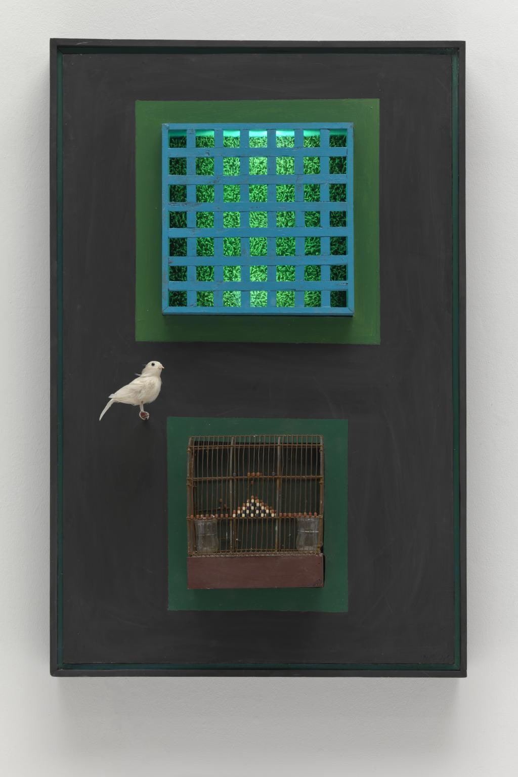 Cage, cage, cage