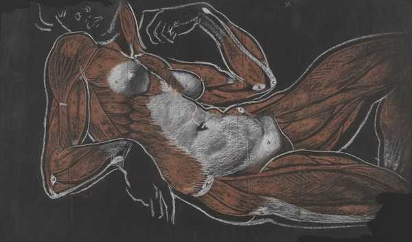 ‘Anatomical Study after Michelangelo‘, Sir William Orpen, c.1906 | Tate