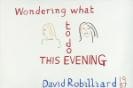 Wondering What To Do This Evening