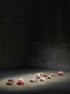 Tongues (Activation Version)