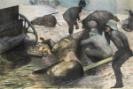 Corporal Grünewald, Privates Dürer, Cranach and Brecht. Thuringian infantrymen looking under a dead horse. Bapaume area, winter 1916