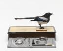 The Magpie’s Box