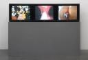 Trilogy of Transgression