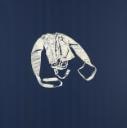 Restraining Jacket (Male)