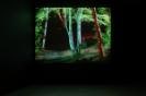 Nightvision