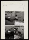 Two Little White Slats and Three Little White Slats, Autumn 1980, Vltava River, Prague