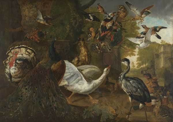 ‘A Fable from Aesop: The Vain Jackdaw‘, Pieter Casteels, 1723 | Tate