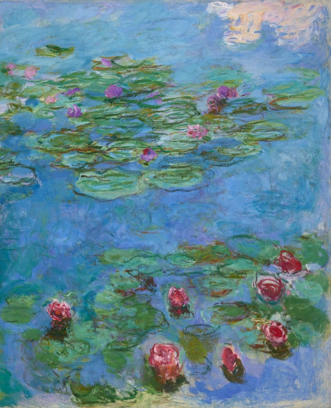 Water Lilies