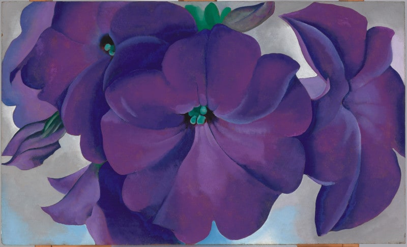 Petunias