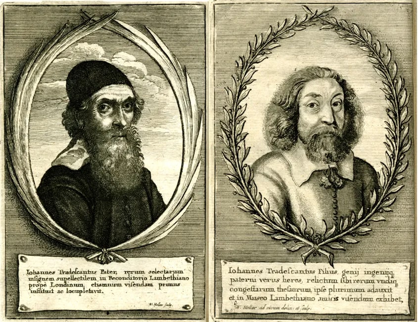 John Tradescant the Elder & Younger by Hollar