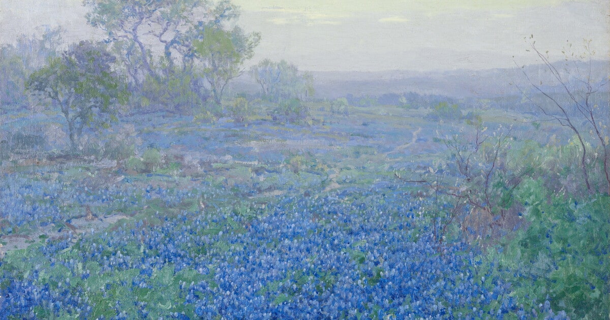A Cloudy Day, Bluebonnets near San Antonio, Texas