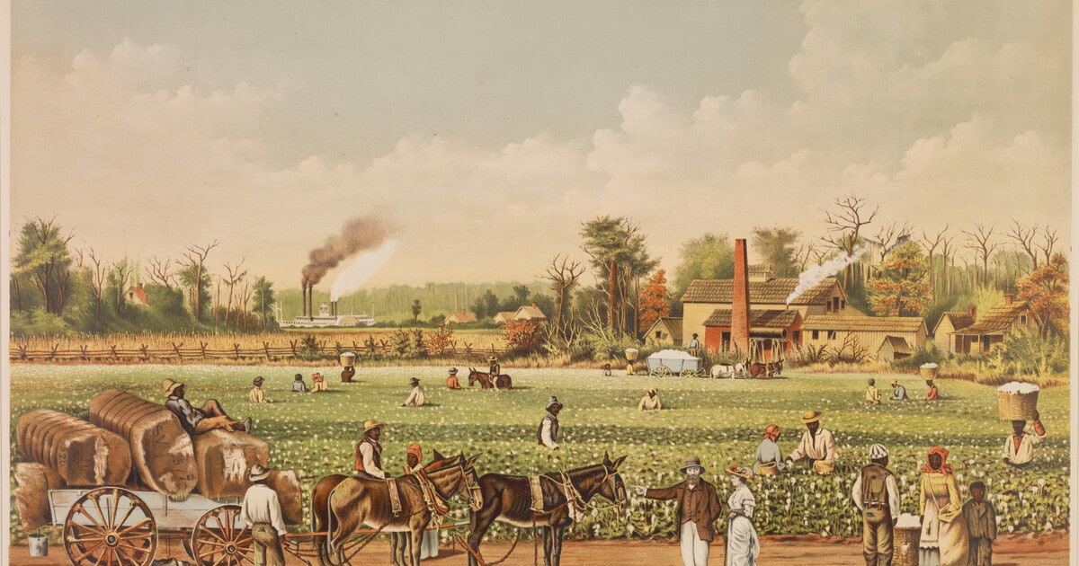 A Cotton Plantation on the Mississippi.