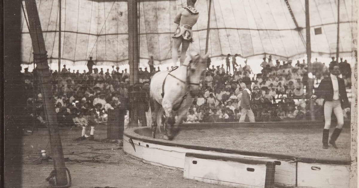 In the Circus