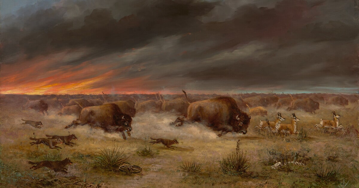 Herd of Buffalo Fleeing from Prairie Fire