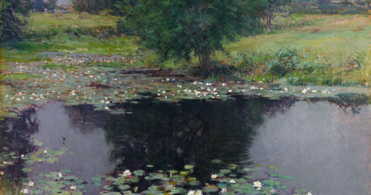 Pond Lilies