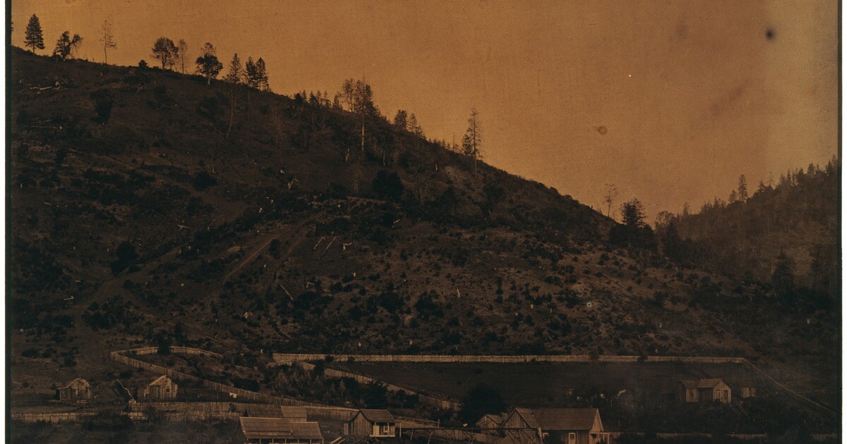 [Saw mill flat, California]