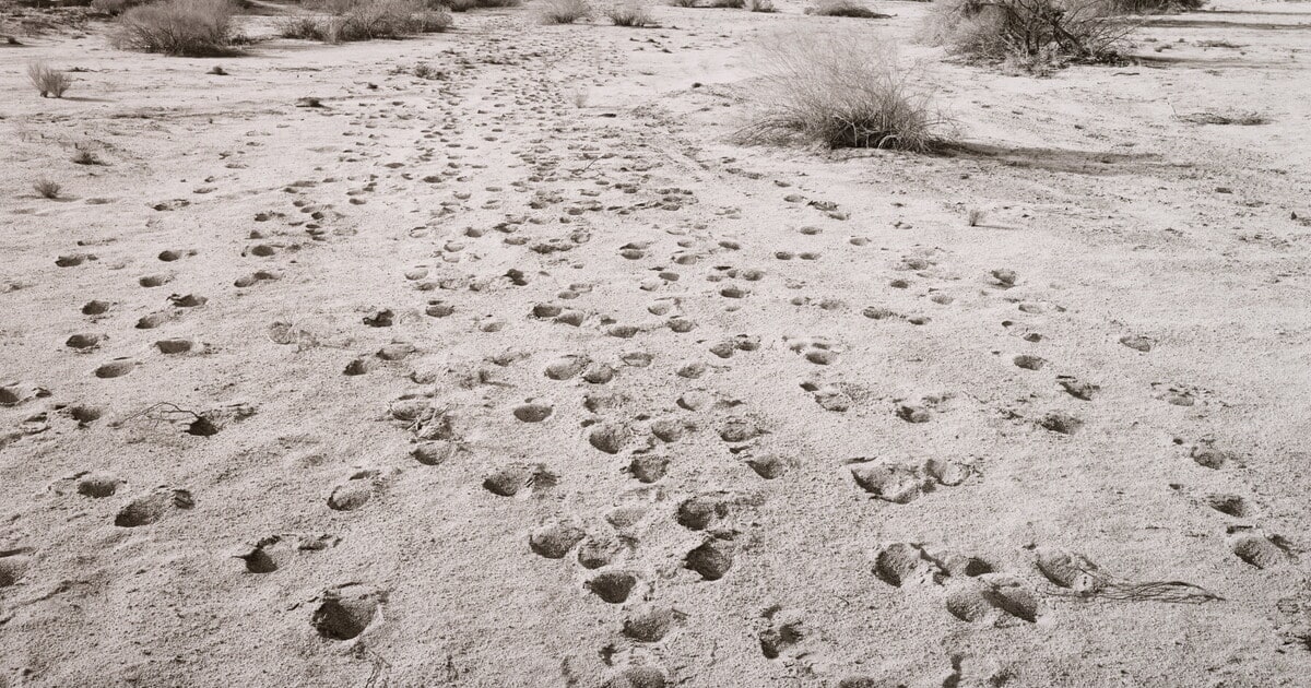 Crossings, BMGR
