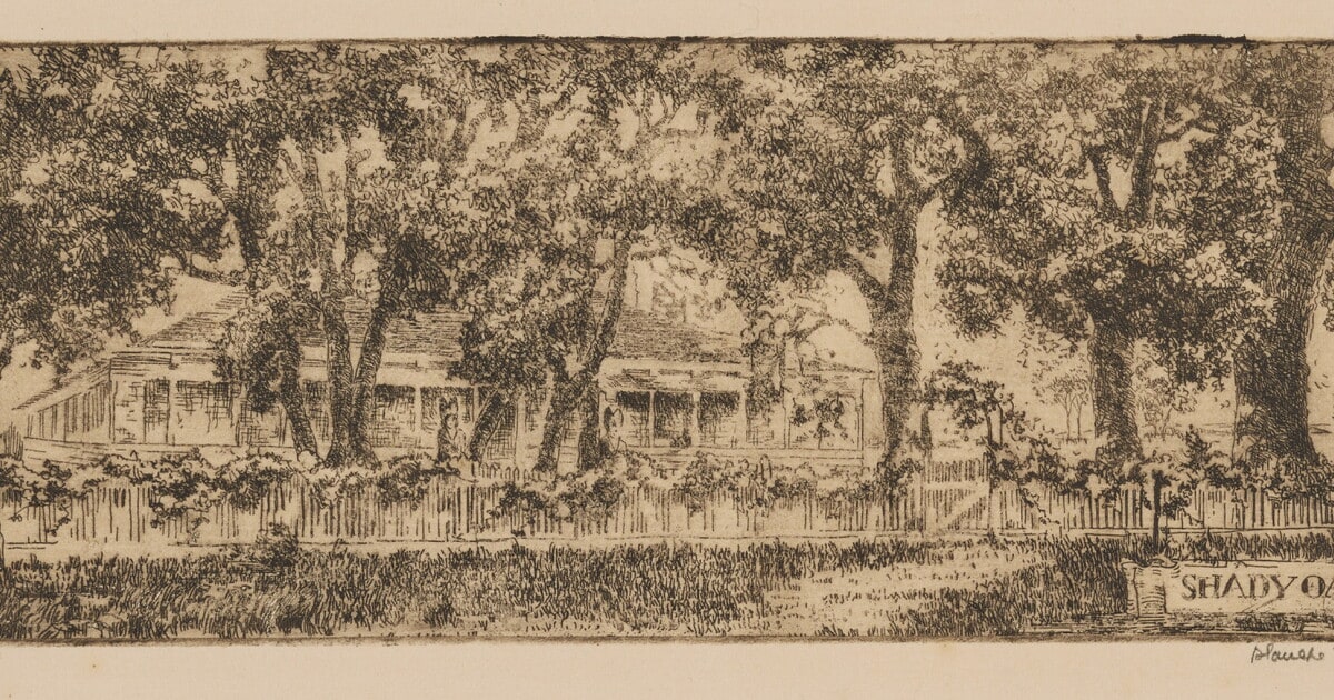Shady Oak