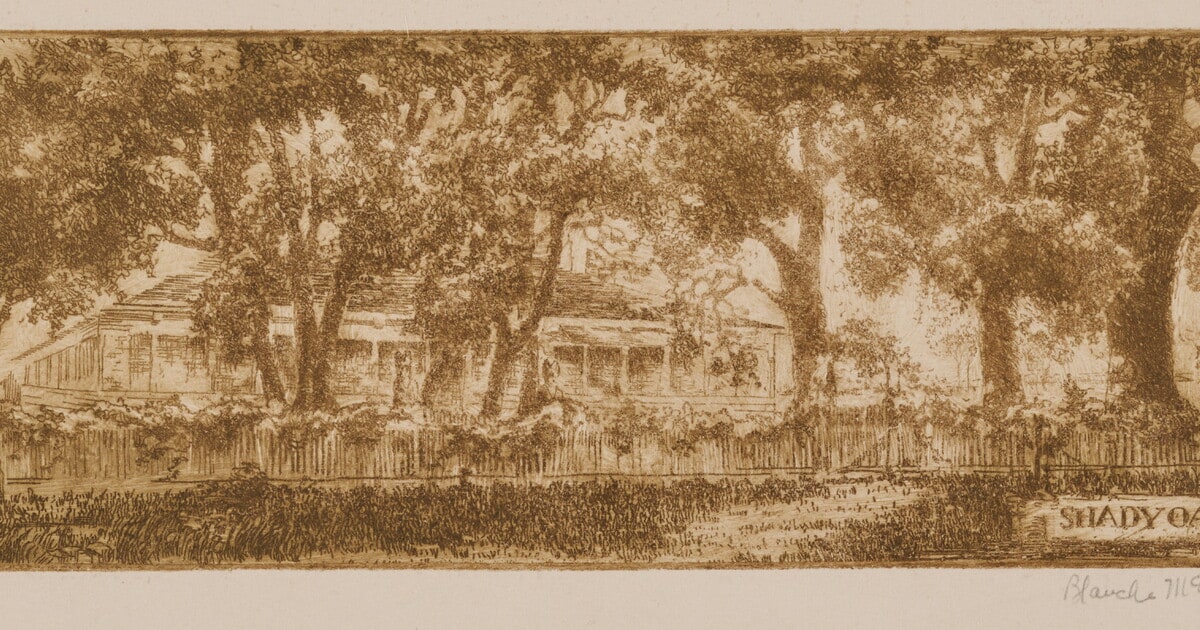 Shady Oak