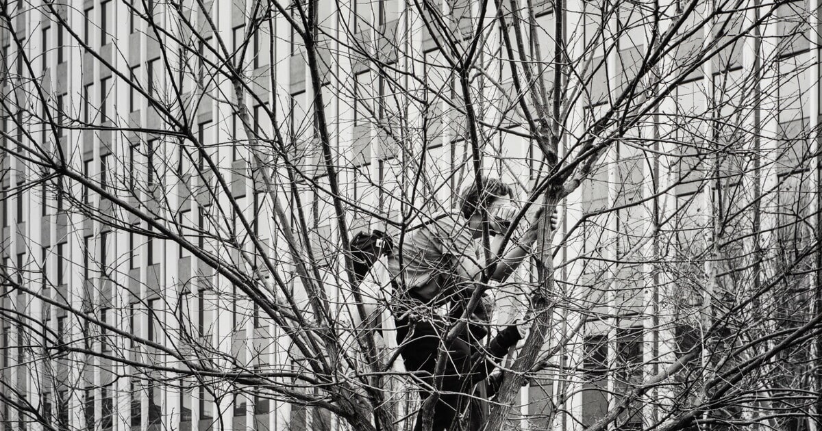 Onlooker / Burke Park