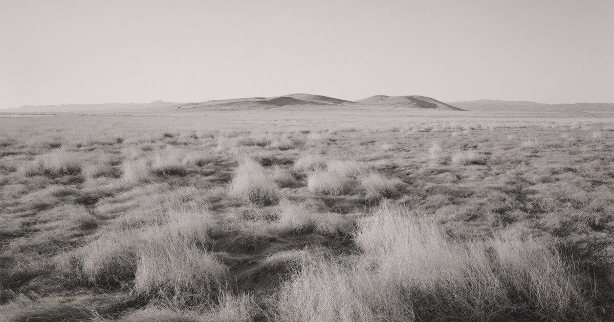 Rancho Uno Grasslands, Janos, Chihuahua