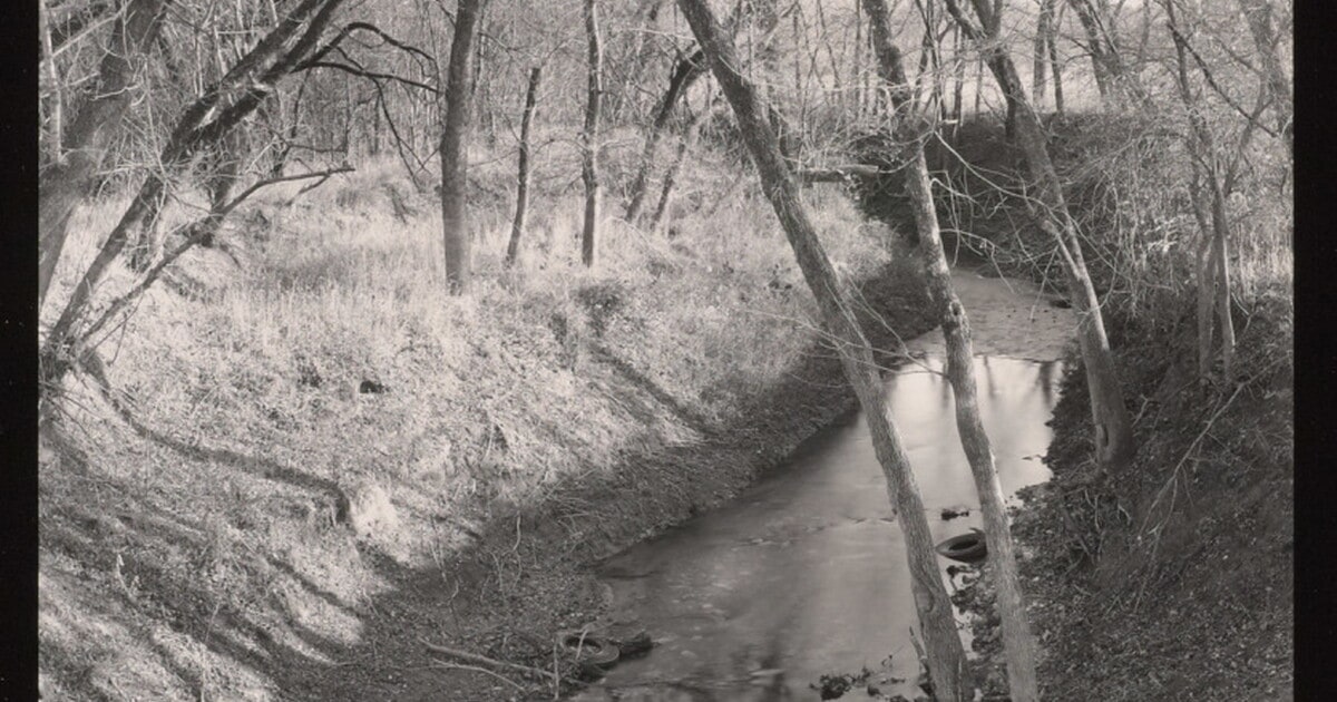 From New Bridge, East Fork Trinity River, Between Weston and Anna, Texas, 1992