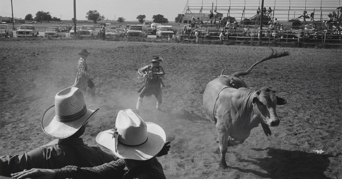 Bull and Hats, High School Rodeo, Alta Vista Arena, Near Fort Worth, TX 1985