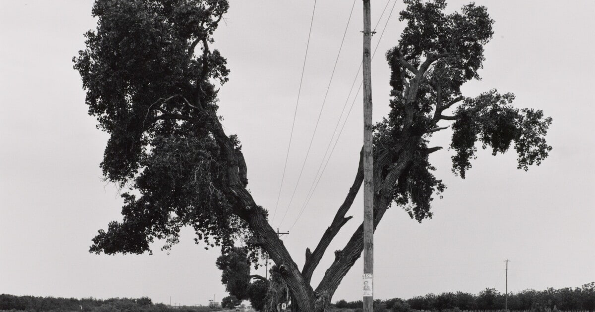 Texas Highway 20, El Paso County, Texas, 5/16/84