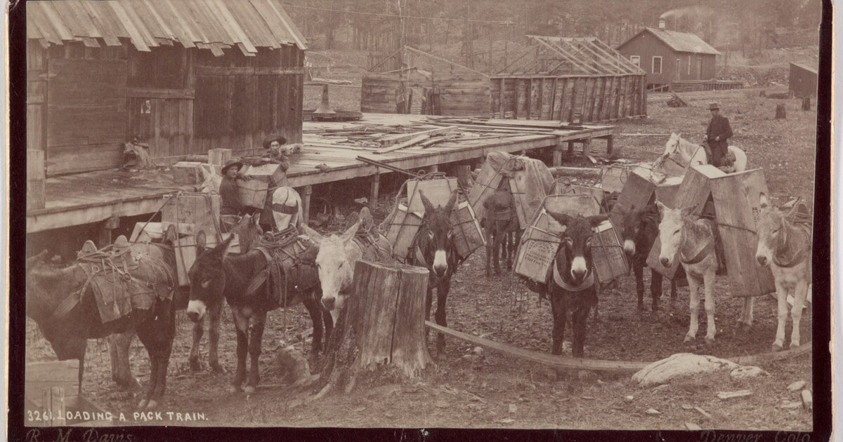 Loading a Pack Train