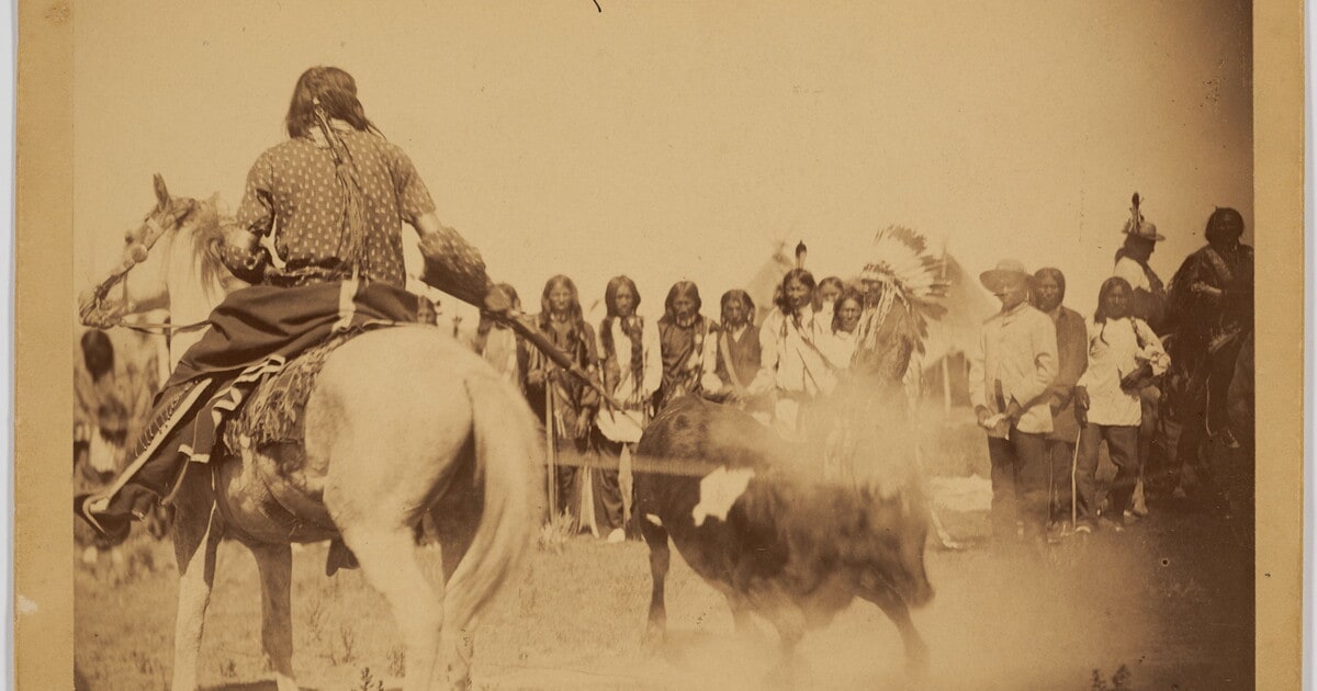Shooting Steers at a Beef Issue at Pine Ridge Indian Reservation