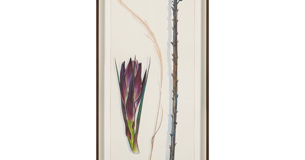 Lechuguilla stalk and Yucca flower, Trans-Pecos, West Texas, March