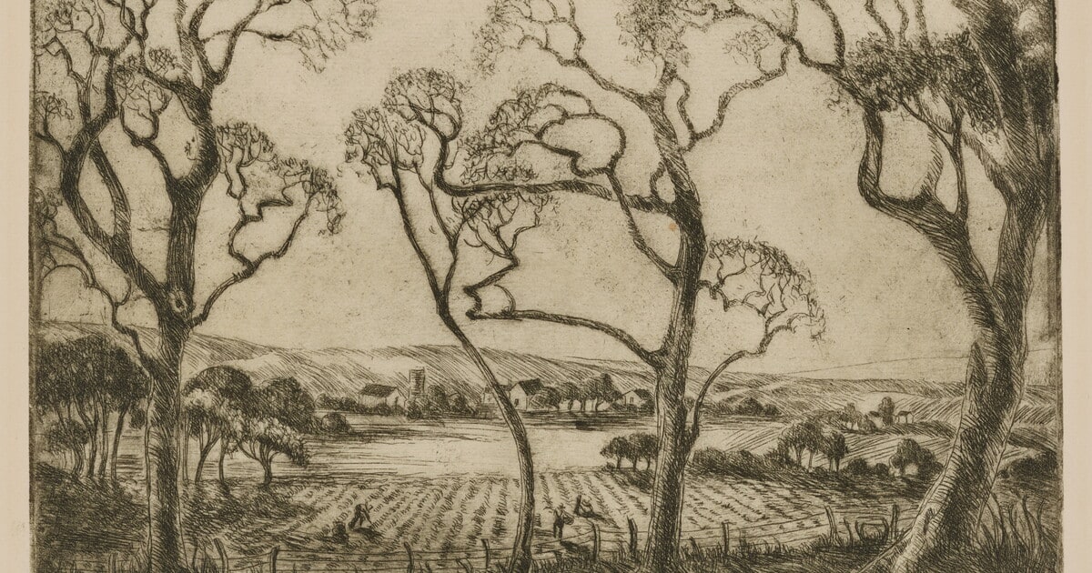 Pecan Grove