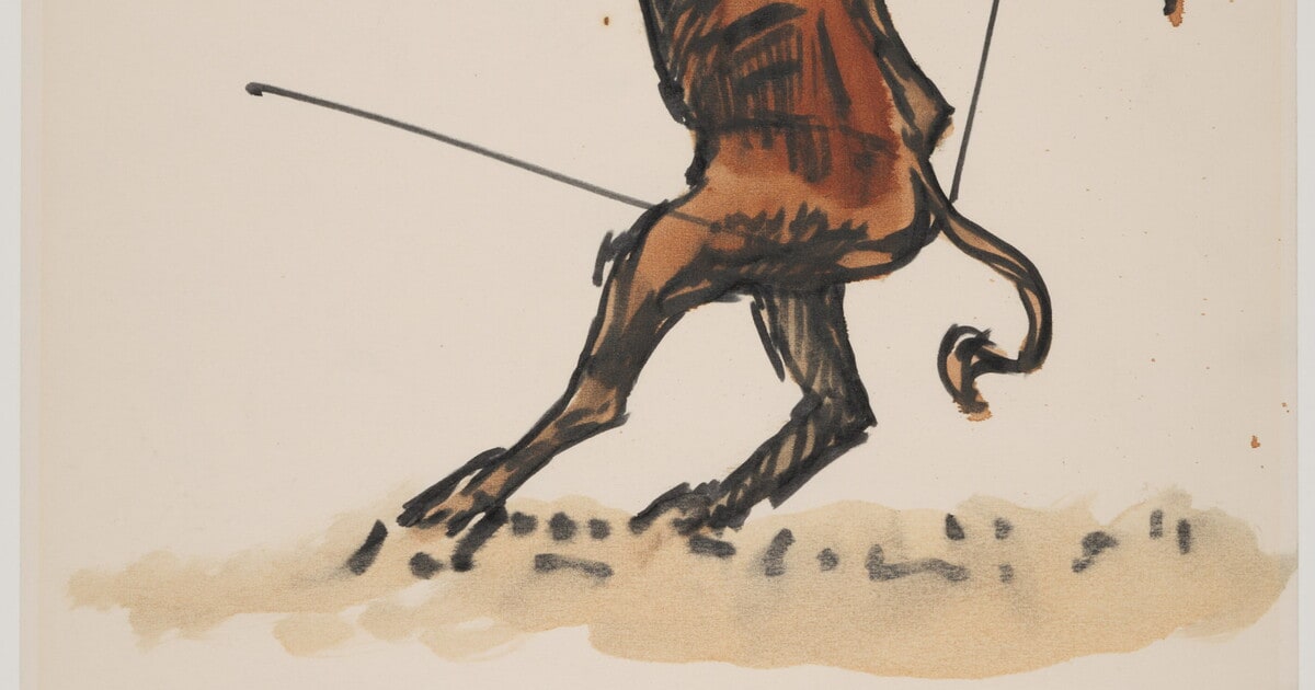 A Roped Steer