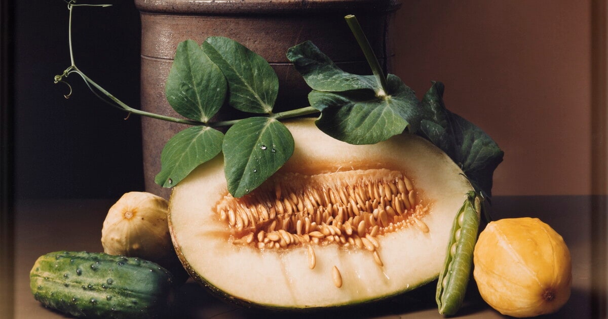 Early American, Melon and Peas