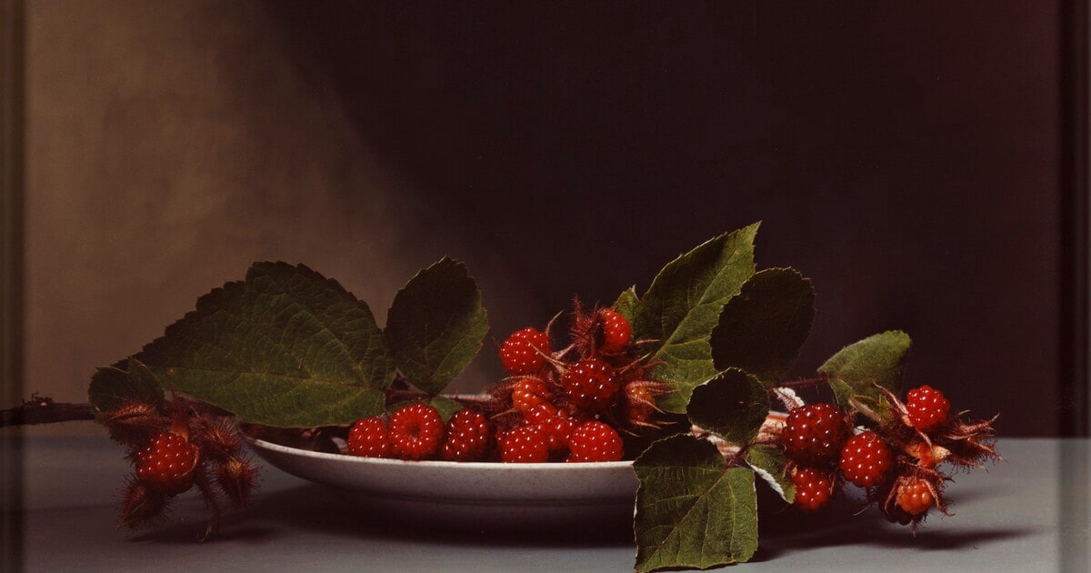 Early American, Wild Raspberries