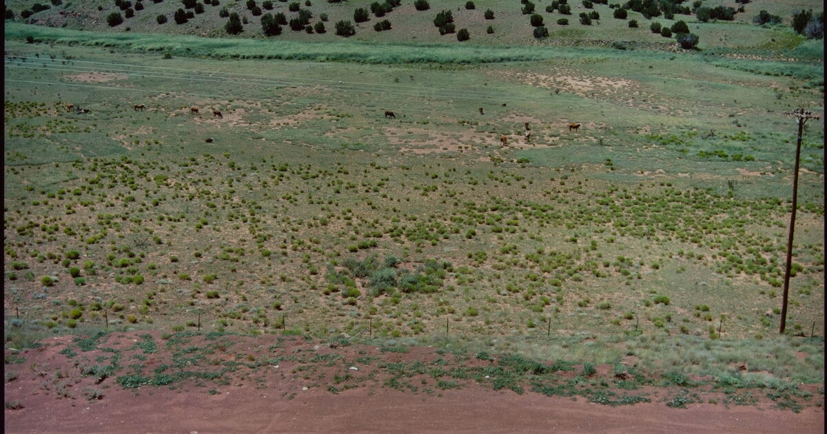 Markings on Highway 380 near Carrizozo, New Mexico, 1986