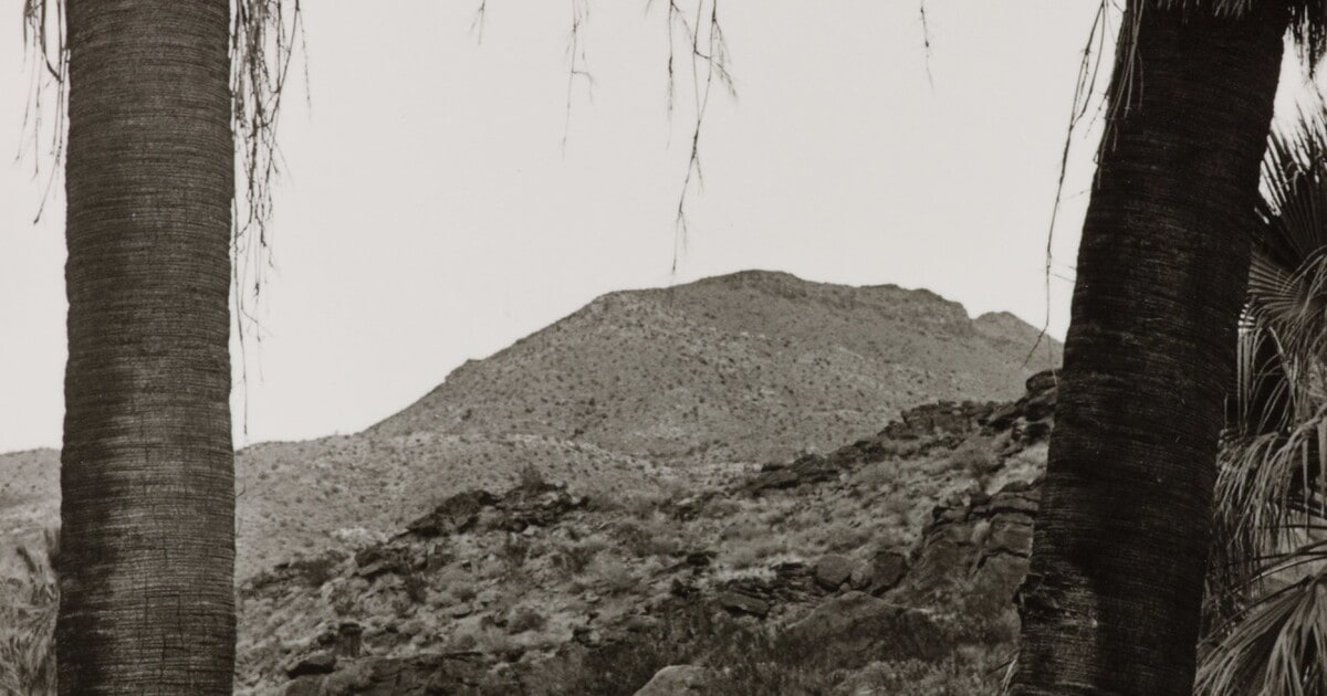 Palm Canyon California (Homage to Curtis)