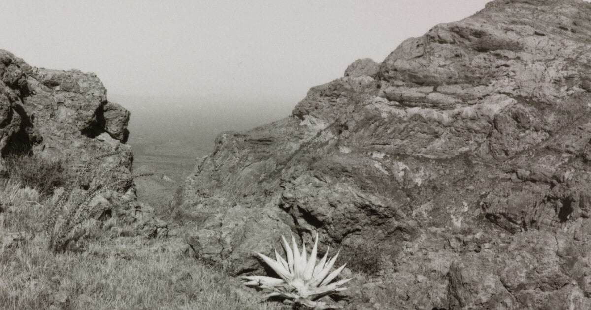 Top of Mount Ajo, Arizona