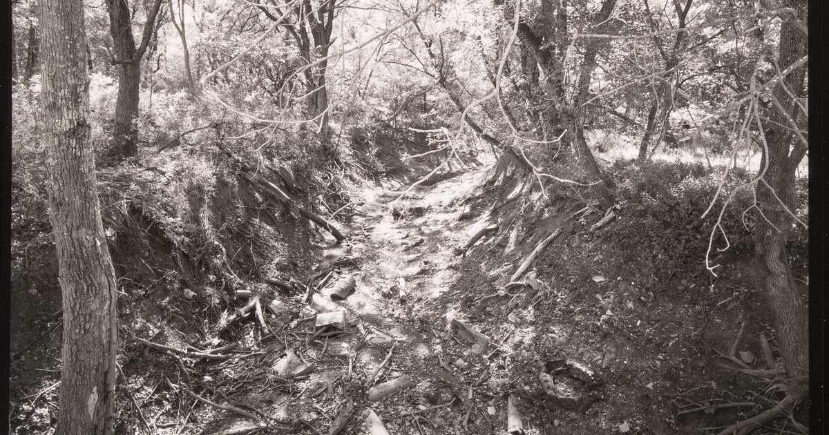 East Fork, Trinity River near Melissa, Texas, October 1990