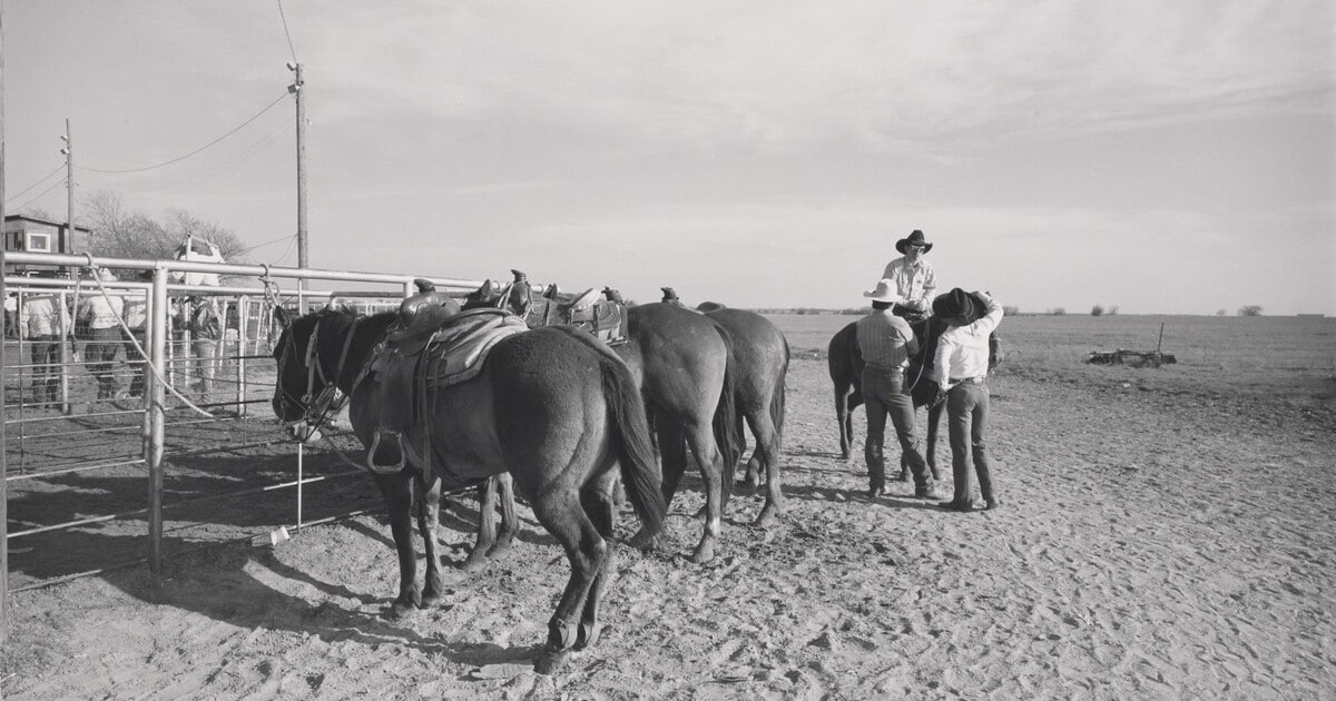 Horses and Cowboys, High School Rodeo, Alta Vista Arena, Near Fort Worth, TX 1985