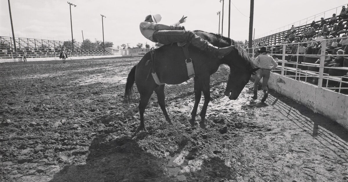 Bareback Bronc Rider, High School Rodeo, Cleburne, TX 1984