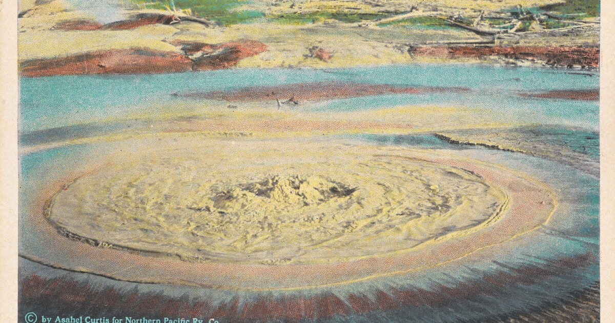 Mud Geyser, Norris Geyser Basin, Yellowstone Park