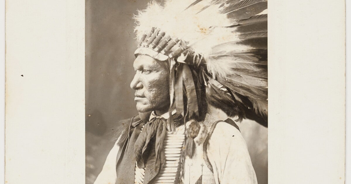 [Unidentified Indian portrait, from: Cummins Indian Congress and Life on the Plains]