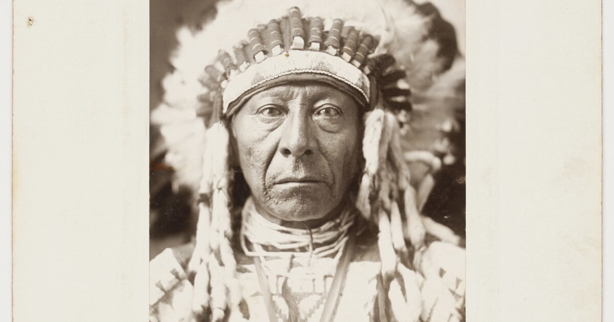 [Chief American Horse, from: Cummins Indian Congress and Life on the Plains]