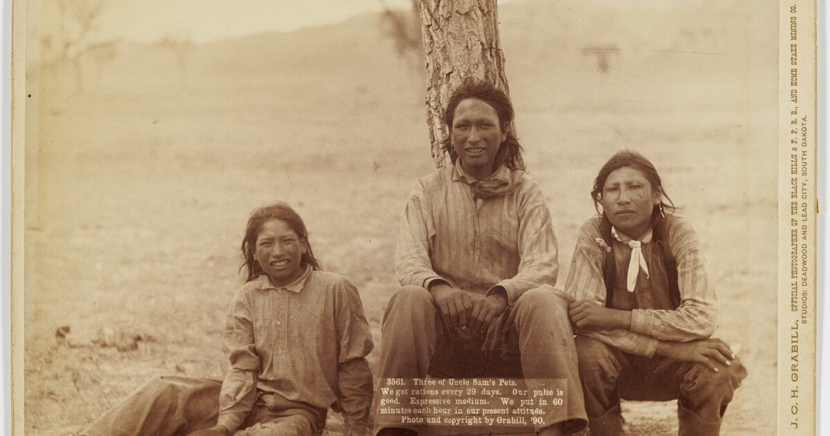 Three of Uncle Sam's Pets