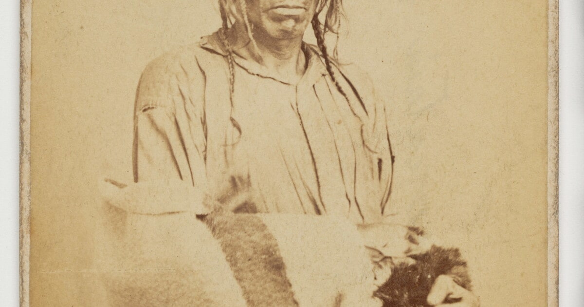 Now-we-ke-shick, Noon Day [Chippewa chief]