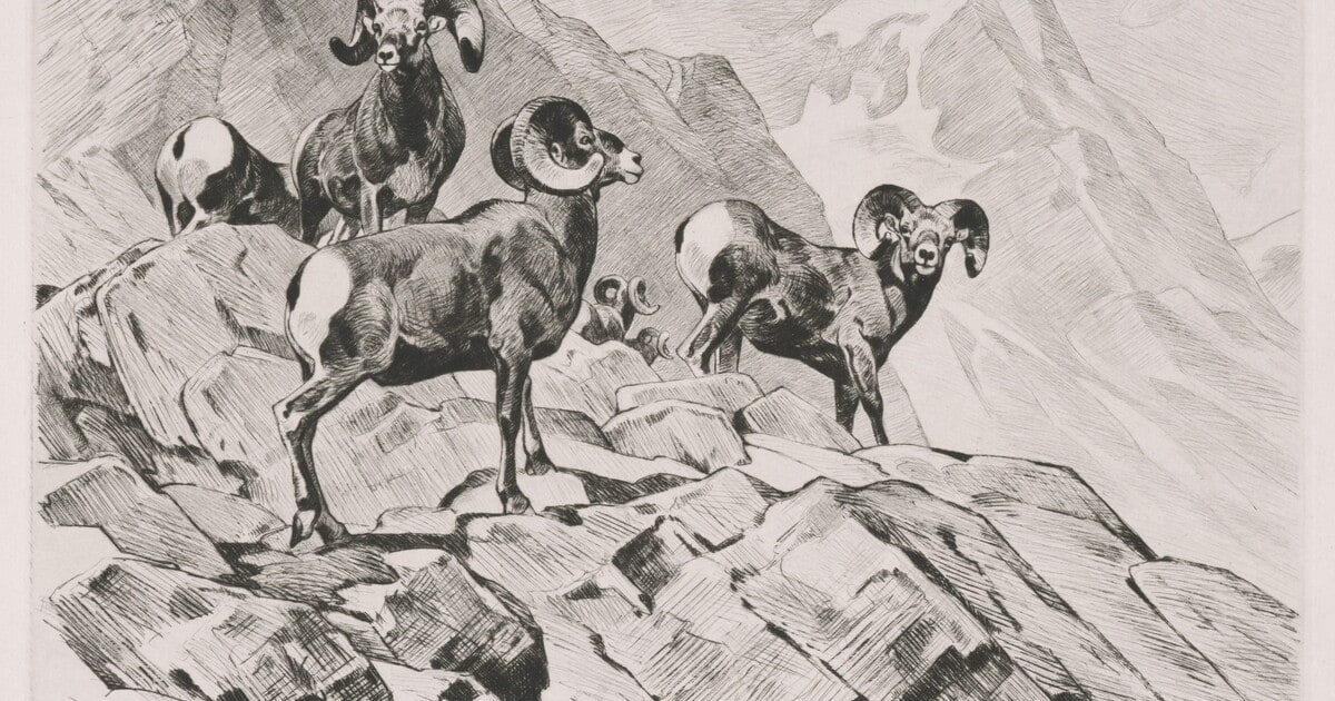 Among the Crags