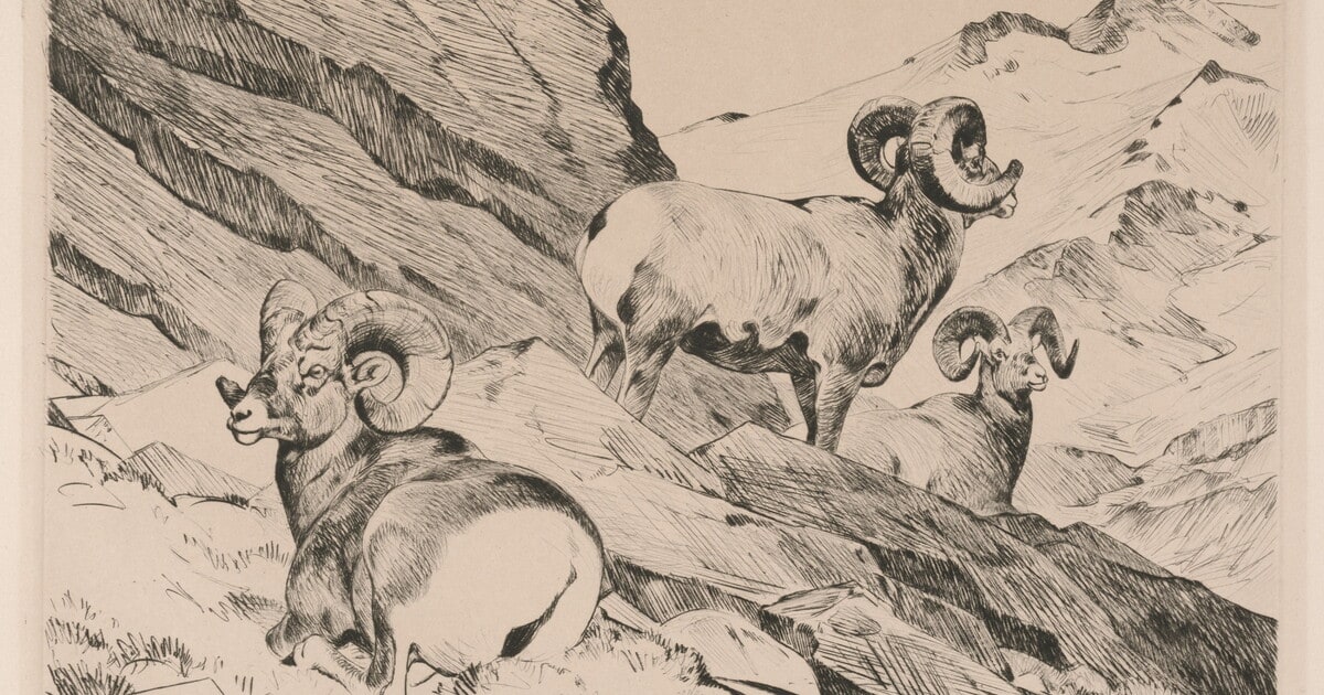 Siesta