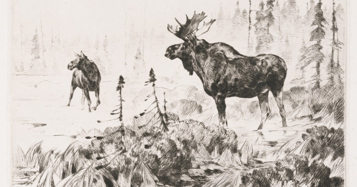 Near Long Lake
